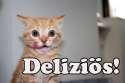 delizioeskatze.jpg