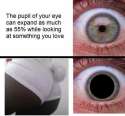 1474058074333.jpg