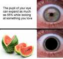 1474058074333.jpg