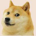 145245644123453.gif