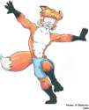 Running_Fennec.jpg