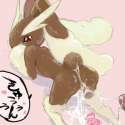 Lopunny2.jpg