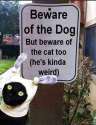 beware-cat.jpg