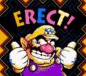 Erect.jpg