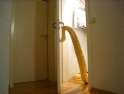 watch-a-giant-snake-open-a-door.png