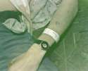 2014-04-04_0756.png