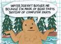 bear.png