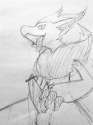 Zoroark6.jpg