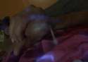 new5.gif