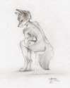 1441871625.coonkun_raffle_2.png