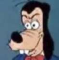 goofy.jpg