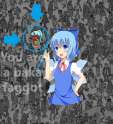 FindKneesocks-CirnoFound_ZoomDeSatTxt.png