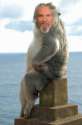 JeffBridges_FatMonkey.jpg
