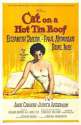 cat-on-a-hot-tin-roof.jpg