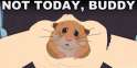 243486fc5459f2ced579913dbee67343.jpg