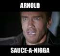 sauce a nigga.png