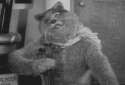1273613053331.gif