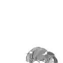 ossi.png
