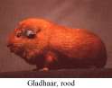 ROOD.gif