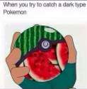dark type pokeball.jpg