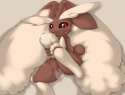 Lopunny45.jpg