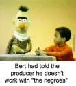 why-bert-why_c_5284649.jpg