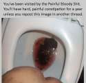 shit.jpg