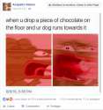 1474228531992.png