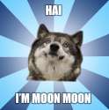 haimoonmoon.png