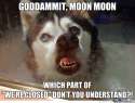 moonmoonclosed.jpg