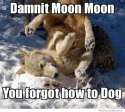 moonmoonforgets.jpg