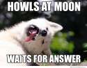 moonmoonhowl.jpg