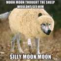 moonmooninsheepsclothing.jpg