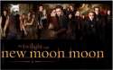 moonmoonintwilight.jpg