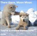 moonmoonnewmeme.jpg