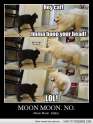 moonmoonno.jpg