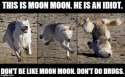 moonmoonondrugs.jpg