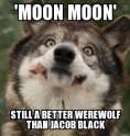 moonoonwarewolf.jpg