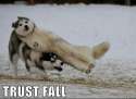trustfailmoonmoonlol.jpg
