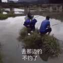 1125458855.gif
