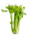 celery.jpg