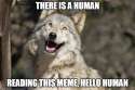hellohuman.jpg