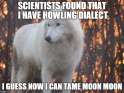 iguesyoucantamemoonmoon.jpg