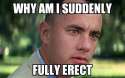 erect.jpg