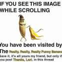 13256603_243378302701112_1754295687_n.jpg