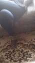 SpyPhoto_20160919_131252298.jpg