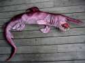 Goblin-Shark.jpg