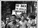 BACK TO AFRICA2.jpg