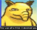 image.gif