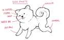 ^478F994CD2273573A270F0BDE399B614B0458DC69CD8FE20AC^pimgpsh_fullsize_distr.png